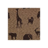 Safari