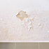 Waterproofing Paints