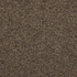 Belgotex Longevity Grandeur - Sandy Path