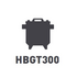 HBGT300