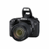 EOS 7D DSLR with EF-S 18-135mm f/3.5-5.6 IS Lens