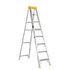 Academy 8 Step Aluminium Ladder <span class=`noWrap`>2.4m</span> <div class=`barcode`>6003789073184</div>
