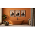 Bathroom and Kitchen Paints