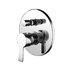 Cygnus concealed mixer with diverter