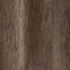 Marshland Oak