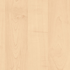Danube Maple Maple